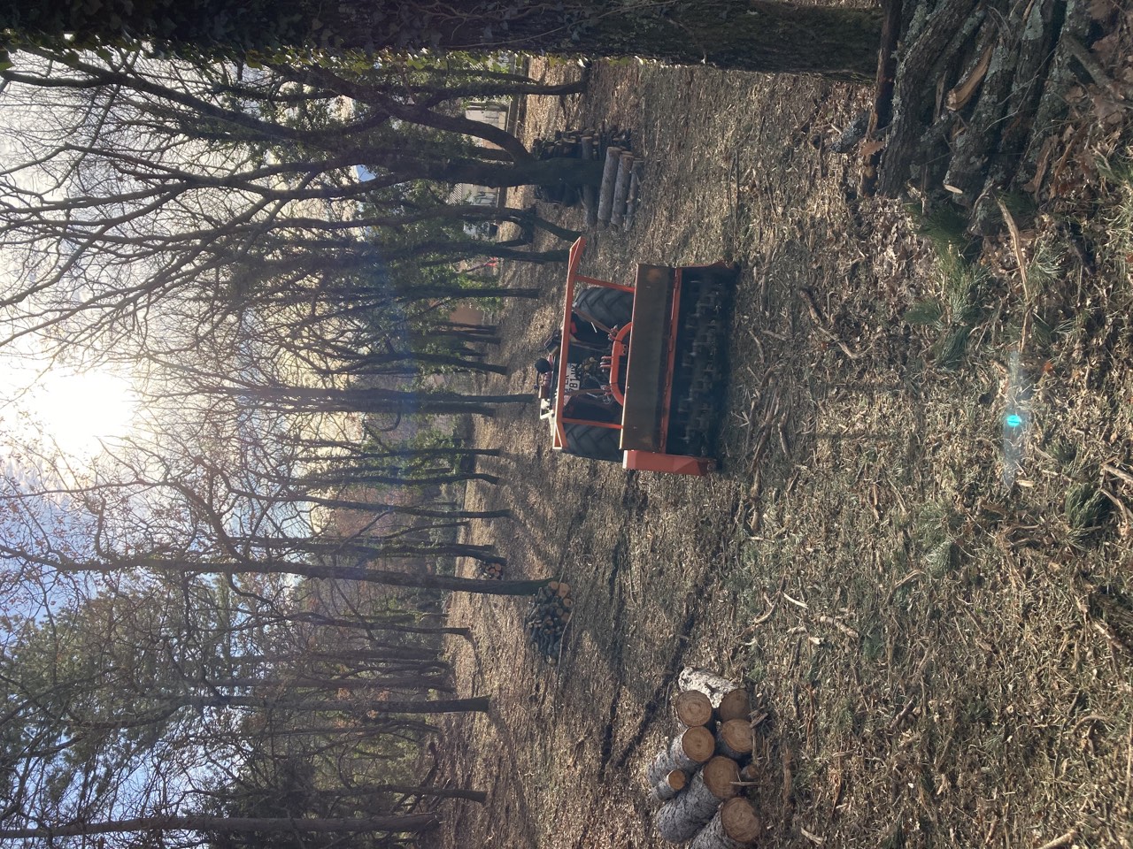 Sous-bois débroussaillé avec un tracteur équipé d’un broyeur et des tas de bois